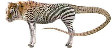 Tigereetah