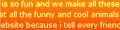 Visitors' Comments