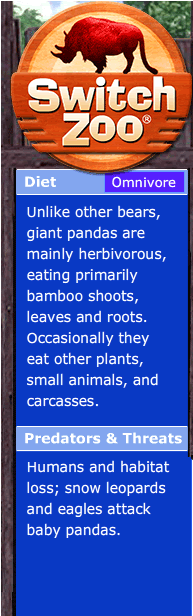 Switch Zoo logo followed by facts about the giant panda's diet (omnivore), predators and threats 