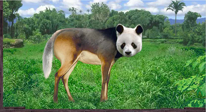 a monkey with a panda head, black lechwe legs, and Arctic wolf tail stands in a clearing in the jungle