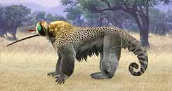 fly-monkey switcheroo