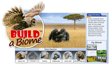 a scene from Build a Biome, two gorillas sitting in grassland