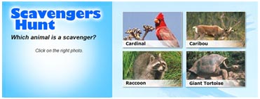 Scavengers Hunt with photos of four animals