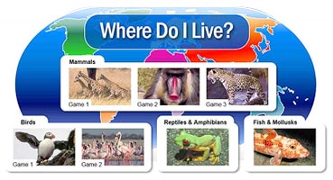 animal pics over a map