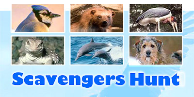 Scavengers Hunt