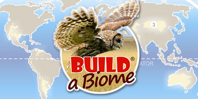 Build a Biome logo