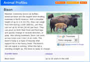 an animal profile page